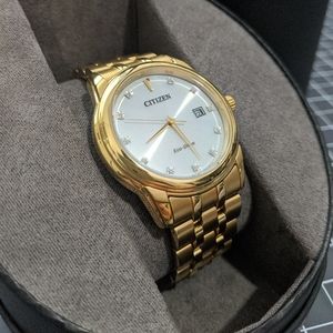 Citizen Eco-Drive Presidential